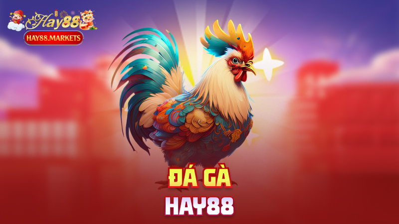 Đá Gà Hay88
